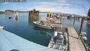 ./images/quadra/hbidock/20250803/hbidock20250803_124011M.jpg