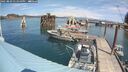 ./images/quadra/hbidock/20250803/hbidock20250803_131010M.jpg
