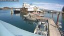./images/quadra/hbidock/20250803/hbidock20250803_134010M.jpg