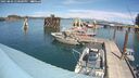 ./images/quadra/hbidock/20250803/hbidock20250803_140000M.jpg
