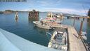 ./images/quadra/hbidock/20250803/hbidock20250803_142000M.jpg