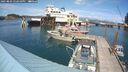 ./images/quadra/hbidock/20250803/hbidock20250803_152010M.jpg