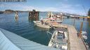 ./images/quadra/hbidock/20250803/hbidock20250803_153500M.jpg