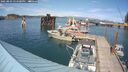 ./images/quadra/hbidock/20250803/hbidock20250803_154500M.jpg