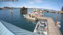 ./images/quadra/hbidock/20250803/hbidock20250803_161510M.jpg