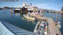 ./images/quadra/hbidock/20250803/hbidock20250803_170011M.jpg
