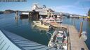 ./images/quadra/hbidock/20250803/hbidock20250803_170500M.jpg