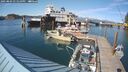 ./images/quadra/hbidock/20250803/hbidock20250803_171010M.jpg