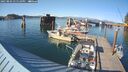 ./images/quadra/hbidock/20250803/hbidock20250803_175510M.jpg