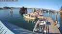 ./images/quadra/hbidock/20250803/hbidock20250803_180011M.jpg