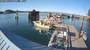 ./images/quadra/hbidock/20250803/hbidock20250803_182000M.jpg