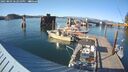 ./images/quadra/hbidock/20250803/hbidock20250803_182010M.jpg