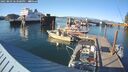 ./images/quadra/hbidock/20250803/hbidock20250803_183500M.jpg