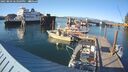 ./images/quadra/hbidock/20250803/hbidock20250803_183509M.jpg