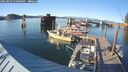 ./images/quadra/hbidock/20250803/hbidock20250803_190508M.jpg