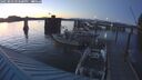 ./images/quadra/hbidock/20250803/hbidock20250803_213500M.jpg