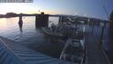 ./images/quadra/hbidock/20250803/hbidock20250803_213509M.jpg