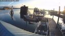 ./images/quadra/hbidock/20250804/hbidock20250804_063500M.jpg
