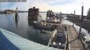 ./images/quadra/hbidock/20250804/hbidock20250804_075510M.jpg