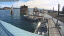 ./images/quadra/hbidock/20250804/hbidock20250804_093011M.jpg