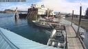 ./images/quadra/hbidock/20250804/hbidock20250804_100500M.jpg