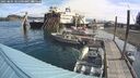 ./images/quadra/hbidock/20250804/hbidock20250804_101000M.jpg