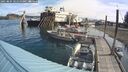 ./images/quadra/hbidock/20250804/hbidock20250804_101010M.jpg