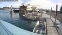 ./images/quadra/hbidock/20250804/hbidock20250804_101500M.jpg