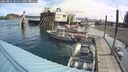 ./images/quadra/hbidock/20250804/hbidock20250804_101511M.jpg