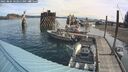 ./images/quadra/hbidock/20250804/hbidock20250804_103010M.jpg