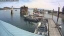 ./images/quadra/hbidock/20250804/hbidock20250804_112500M.jpg