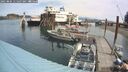 ./images/quadra/hbidock/20250804/hbidock20250804_115506M.jpg