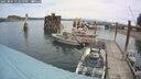 ./images/quadra/hbidock/20250804/hbidock20250804_122011M.jpg