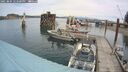 ./images/quadra/hbidock/20250804/hbidock20250804_122500M.jpg