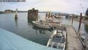 ./images/quadra/hbidock/20250804/hbidock20250804_122510M.jpg