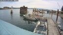./images/quadra/hbidock/20250804/hbidock20250804_123011M.jpg