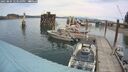 ./images/quadra/hbidock/20250804/hbidock20250804_123510M.jpg