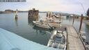 ./images/quadra/hbidock/20250804/hbidock20250804_124500M.jpg
