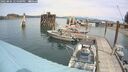 ./images/quadra/hbidock/20250804/hbidock20250804_125000M.jpg