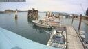 ./images/quadra/hbidock/20250804/hbidock20250804_125011M.jpg