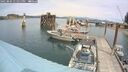 ./images/quadra/hbidock/20250804/hbidock20250804_131011M.jpg
