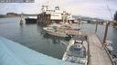 ./images/quadra/hbidock/20250804/hbidock20250804_135000M.jpg