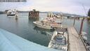 ./images/quadra/hbidock/20250804/hbidock20250804_140000M.jpg