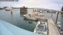 ./images/quadra/hbidock/20250804/hbidock20250804_140011M.jpg