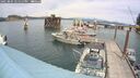 ./images/quadra/hbidock/20250804/hbidock20250804_141511M.jpg