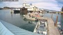 ./images/quadra/hbidock/20250804/hbidock20250804_154511M.jpg