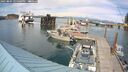 ./images/quadra/hbidock/20250804/hbidock20250804_155000M.jpg