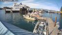 ./images/quadra/hbidock/20250804/hbidock20250804_171500M.jpg