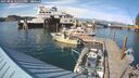 ./images/quadra/hbidock/20250804/hbidock20250804_171511M.jpg