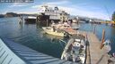 ./images/quadra/hbidock/20250804/hbidock20250804_172000M.jpg